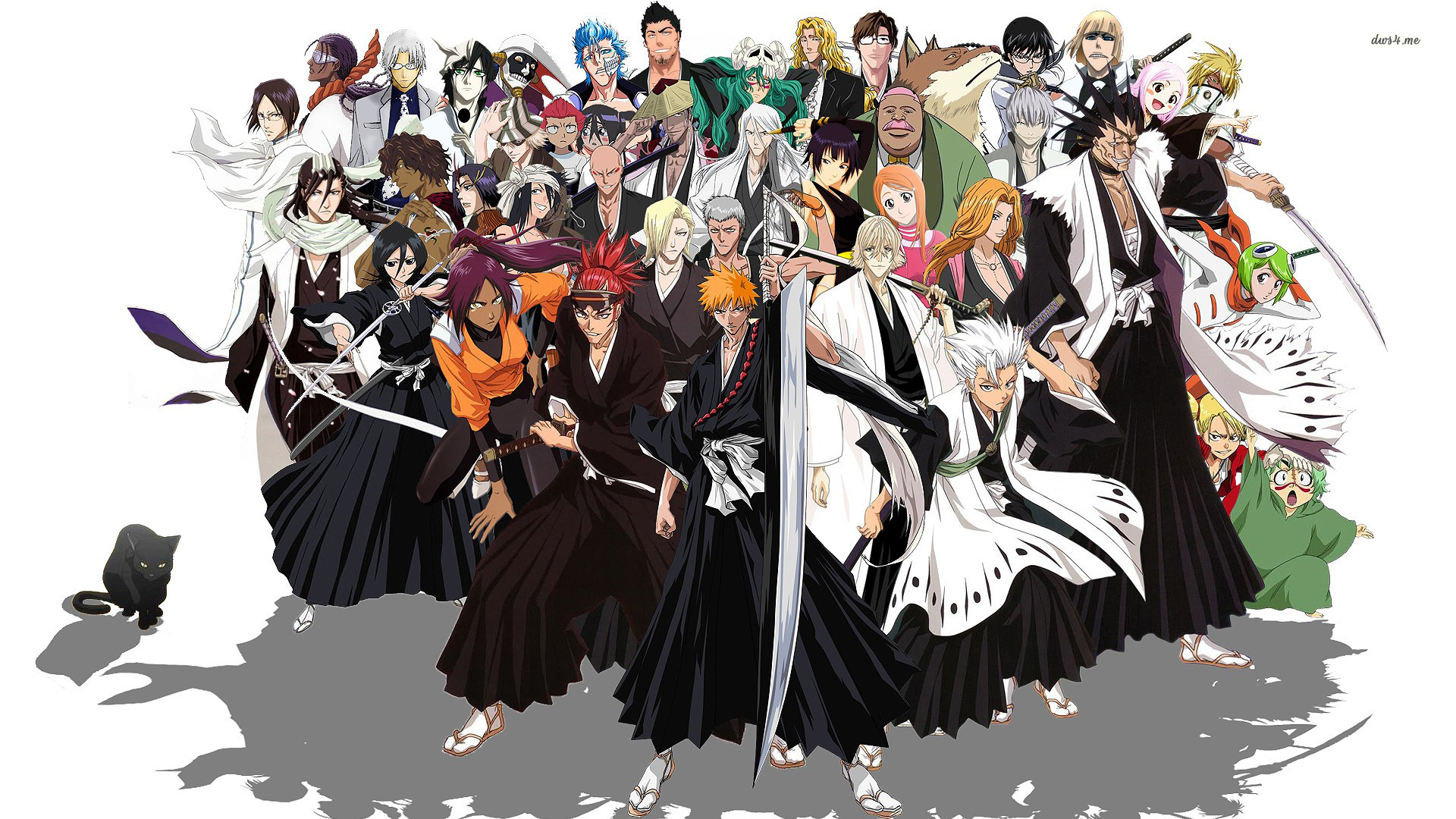 Bleach-hero-anime-wallpaper-hd