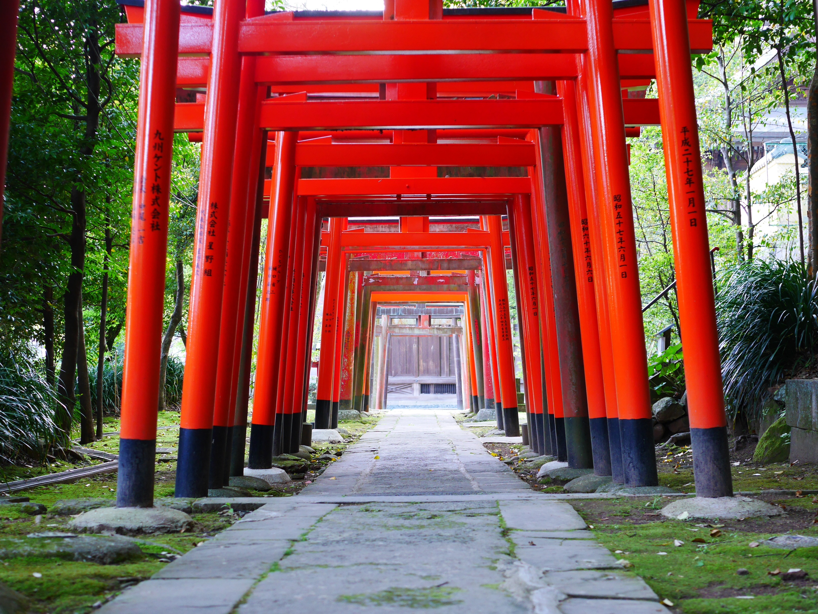 japan-place-of-worship-interior-design-temple-shrine-torii-shinto-japanese-style-k-shinto-shrine-541185