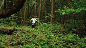 aokigahara